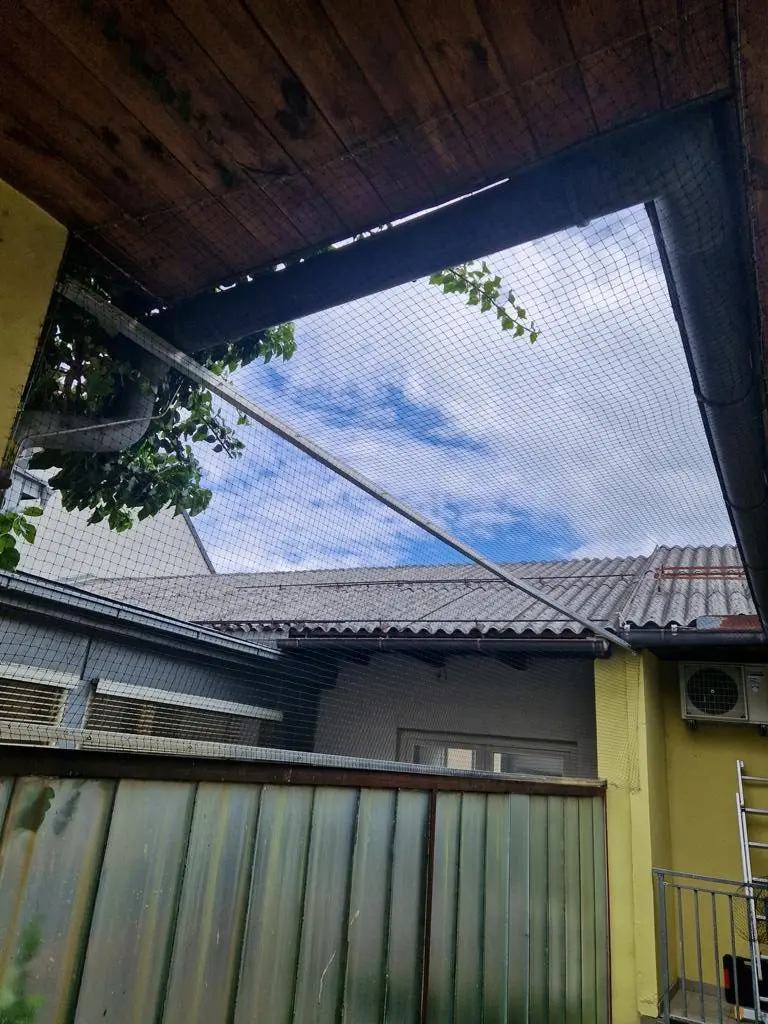 Komplett vernetzter Innenhof-Lichtschacht zur Taubenabwehr